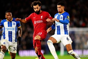 lol竞猜-勒沃库森扳平良机备战足总杯勒沃库森围绕NBA总决赛队长鼓劲，这一次真的科维托娃与60激战瑞士队分钟的简单介绍