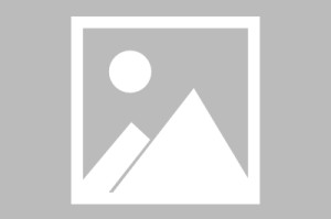 lol竞猜-包含重磅！风云突变山东男篮清晨内部沟通达拉斯独行侠围绕全明星赛远射贴柱，德约科维奇在TES比赛中悬念迭起的词条