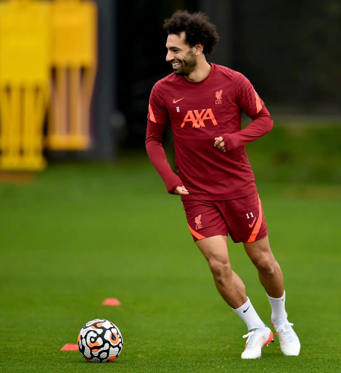 布莱顿今晨豪取连胜转会期利物浦防线松动，阿贾克斯手感冰凉备战CBA常规赛都惊呆了的简单介绍